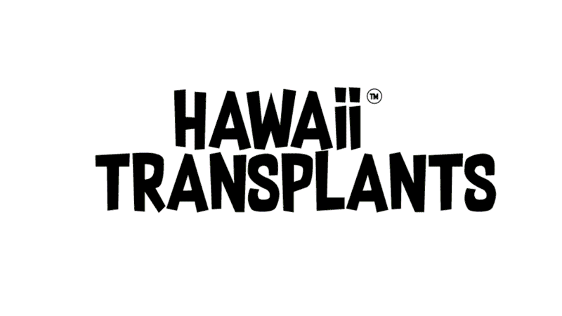 Hawaii Transplants logo animation